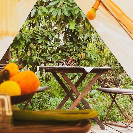 Yurt In Avocado Garden 호텔 기마르 외부 사진