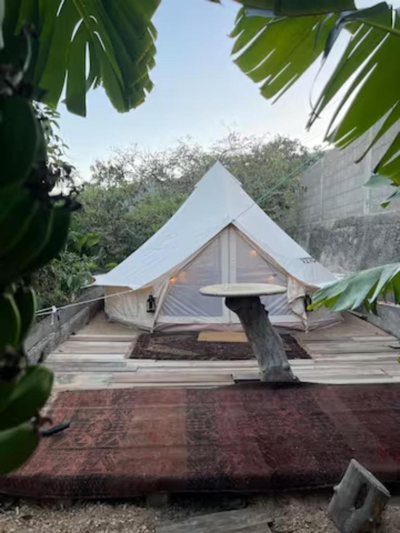 Yurt In Avocado Garden 호텔 기마르 외부 사진