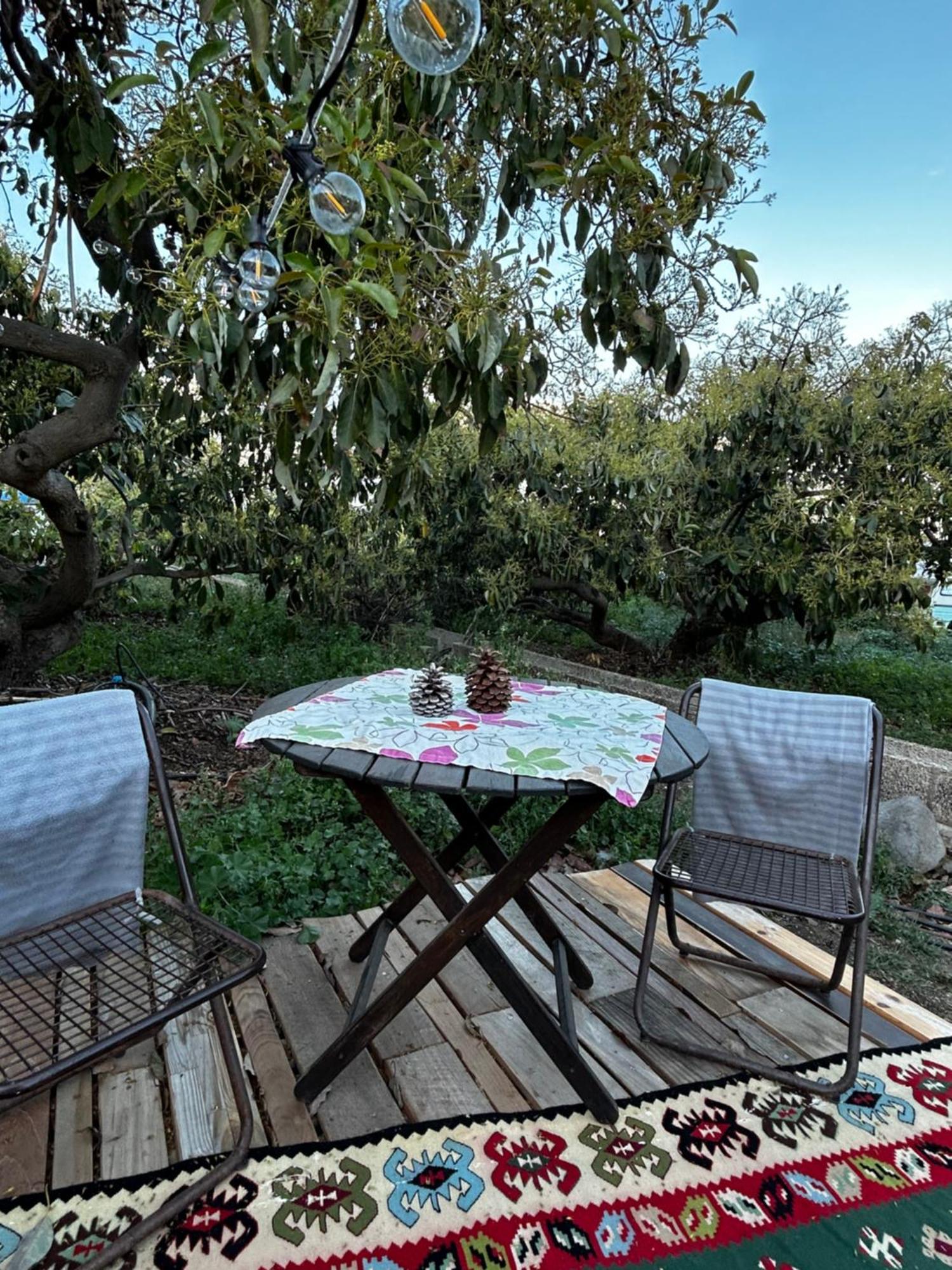 Yurt In Avocado Garden 호텔 기마르 외부 사진