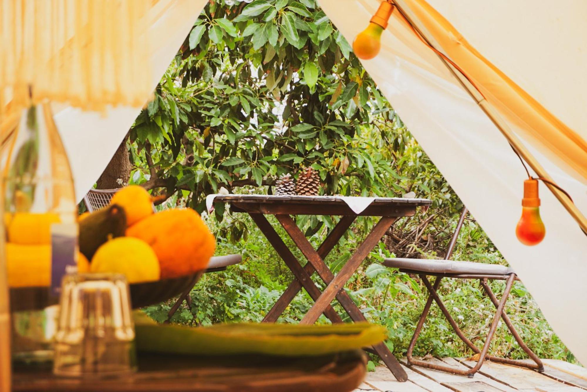 Yurt In Avocado Garden 호텔 기마르 외부 사진