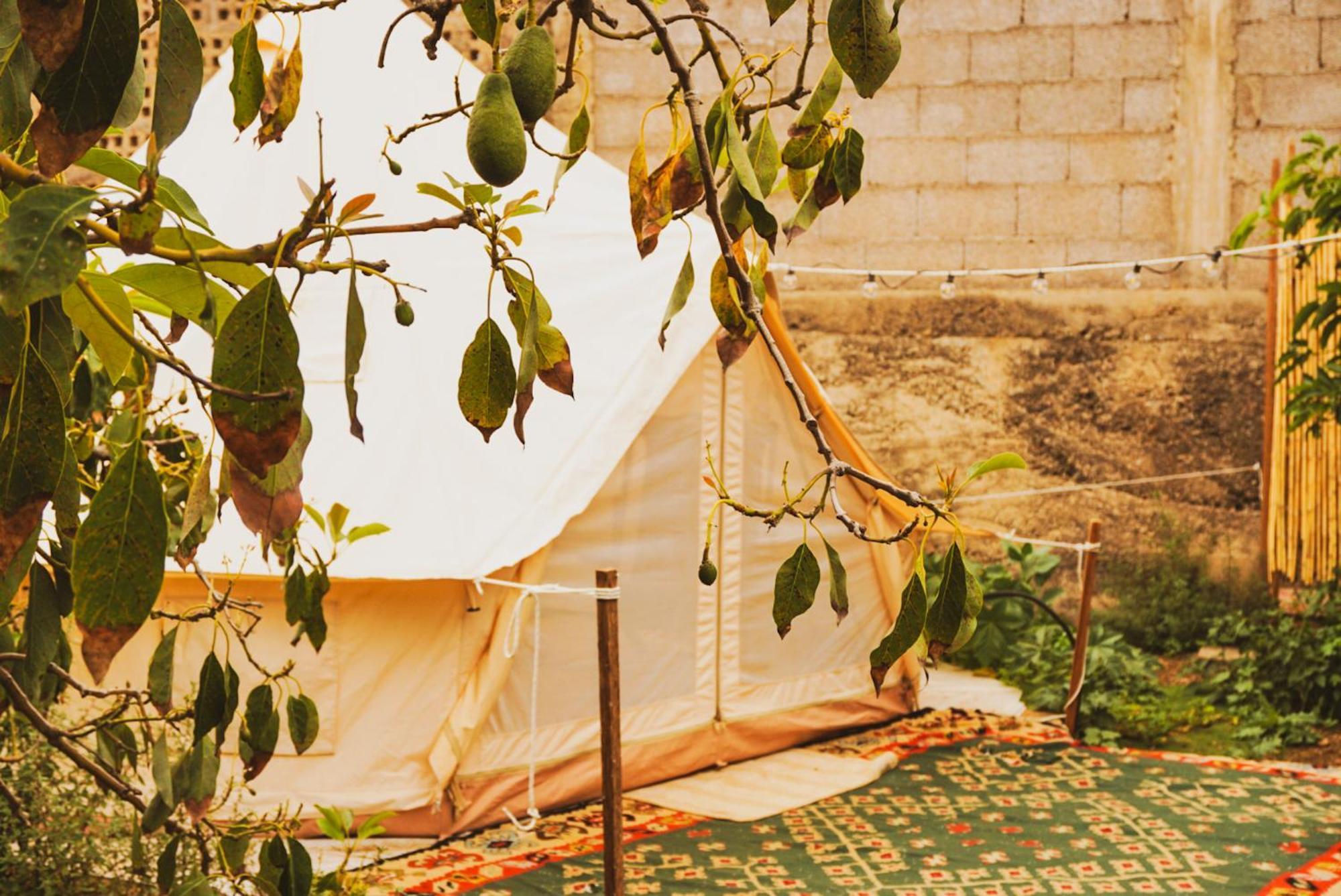 Yurt In Avocado Garden 호텔 기마르 외부 사진